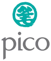 Pico logo